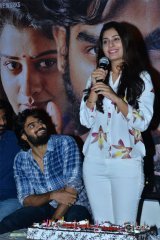 RX 100 Movie Successmeet